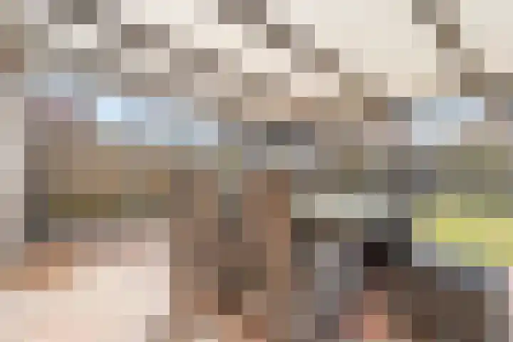 Het Kienhout 9 Slagharen thumbnail 43