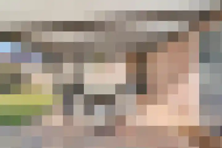 Het Kienhout 9 Slagharen thumbnail 44