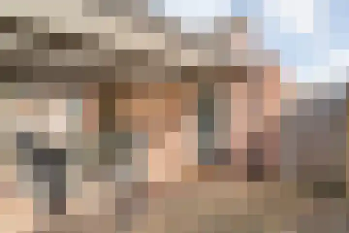Het Kienhout 9 Slagharen thumbnail 45