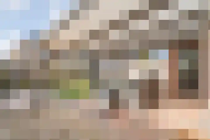 Het Kienhout 9 Slagharen thumbnail 46