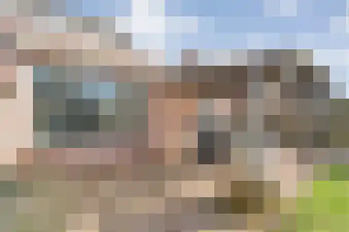 Het Kienhout 9 Slagharen thumbnail 47