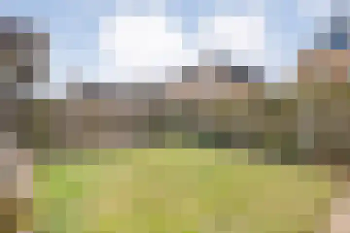 Het Kienhout 9 Slagharen thumbnail 48