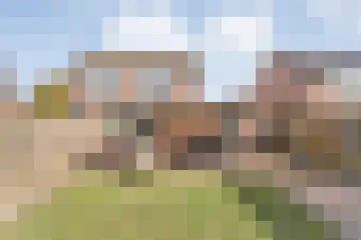 Het Kienhout 9 Slagharen thumbnail 49