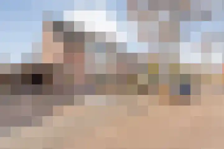 Het Kienhout 9 Slagharen thumbnail 5