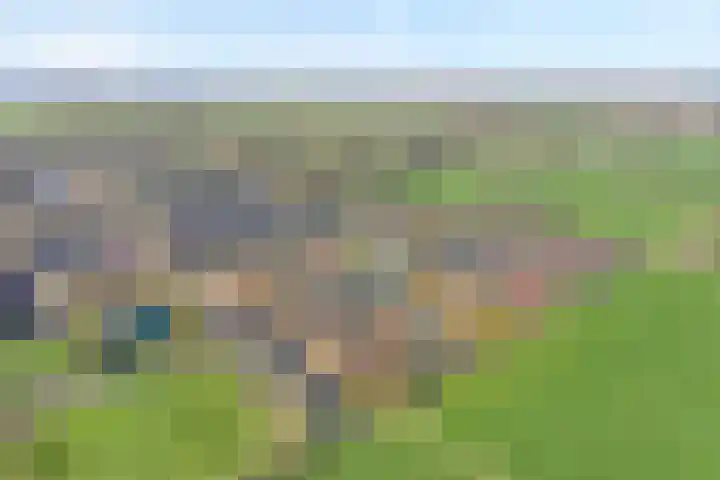 Het Kienhout 9 Slagharen thumbnail 50