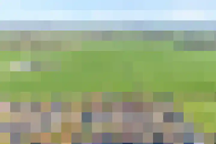 Het Kienhout 9 Slagharen thumbnail 51