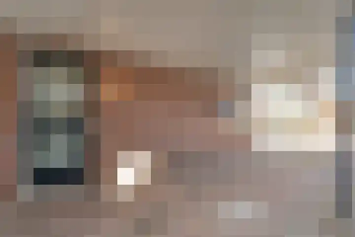 Het Kienhout 9 Slagharen thumbnail 9