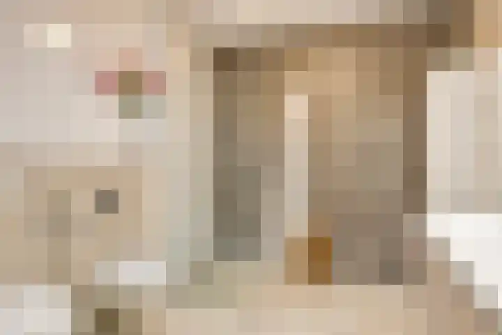 Het Klavier 16 Aarle-Rixtel thumbnail 21