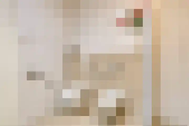 Het Klavier 16 Aarle-Rixtel thumbnail 23