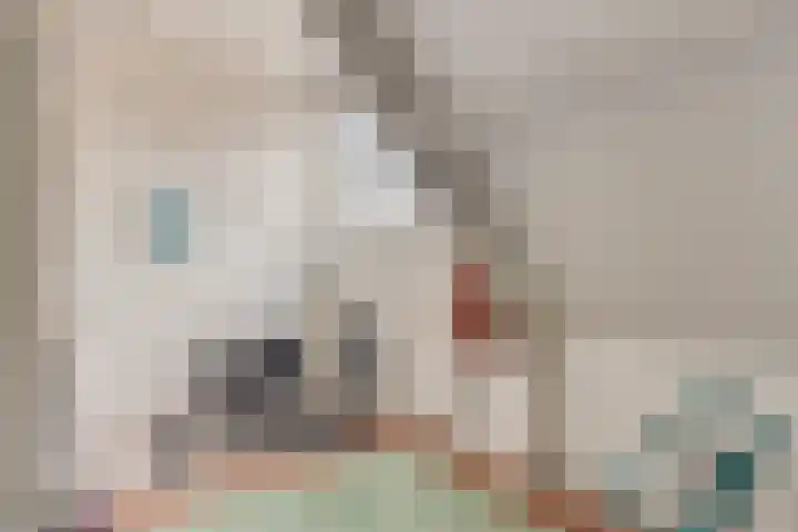 Het Klavier 16 Aarle-Rixtel thumbnail 29