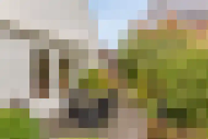 Het Klavier 16 Aarle-Rixtel thumbnail 33