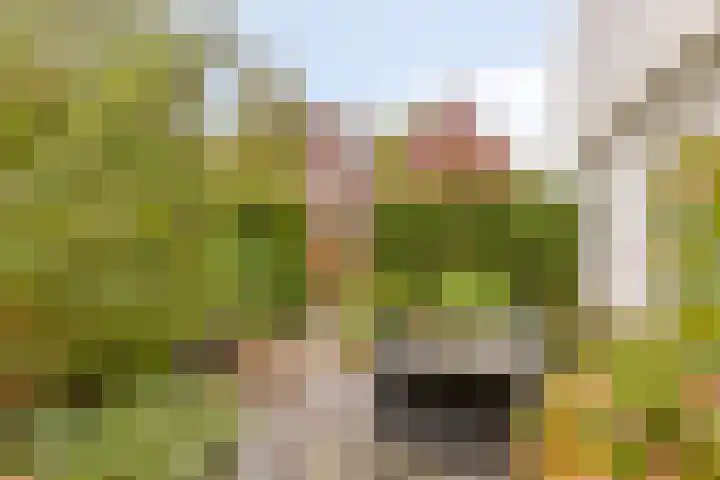 Het Klavier 16 Aarle-Rixtel thumbnail 34