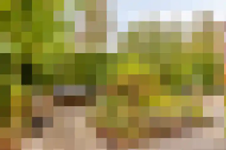 Het Klavier 16 Aarle-Rixtel thumbnail 35