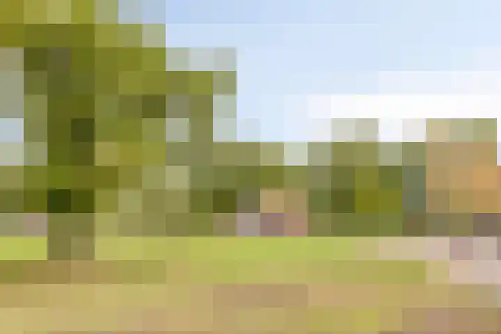 Het Klavier 16 Aarle-Rixtel thumbnail 38