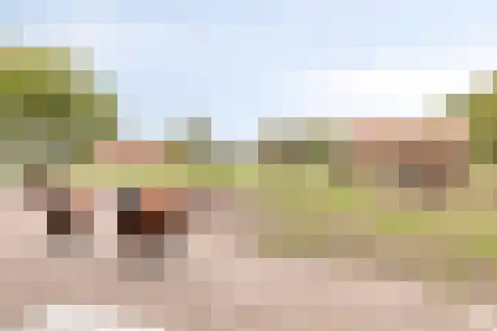 Het Klavier 16 Aarle-Rixtel thumbnail 39