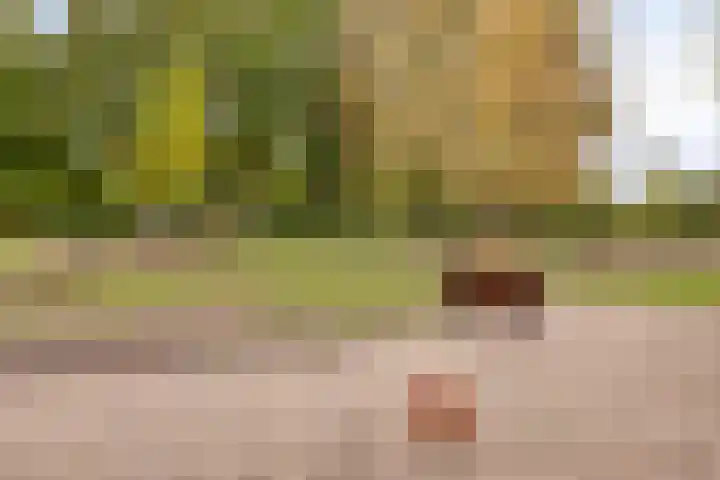 Het Klavier 16 Aarle-Rixtel thumbnail 40