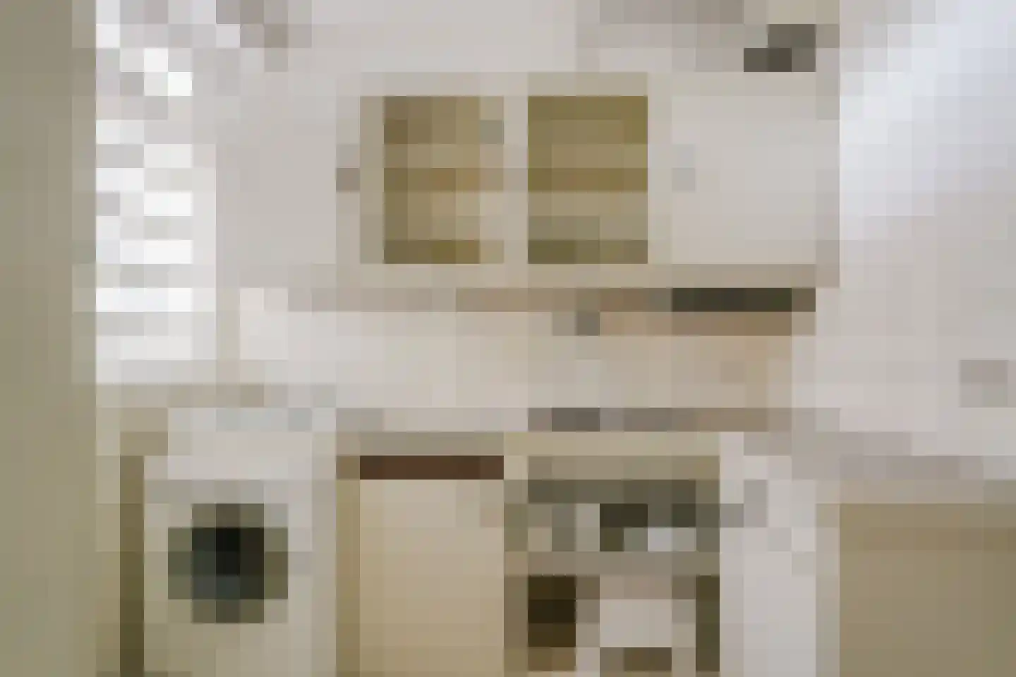 Het Kleine Loo 132 Den Haag thumbnail 10