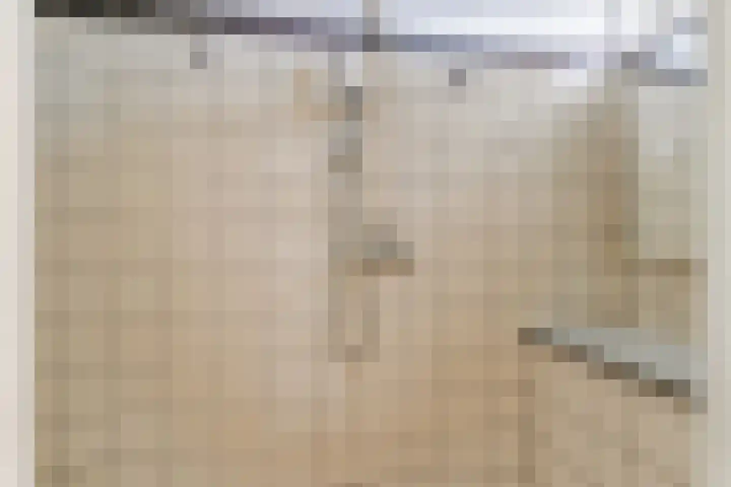 Het Kleine Loo 132 Den Haag thumbnail 15