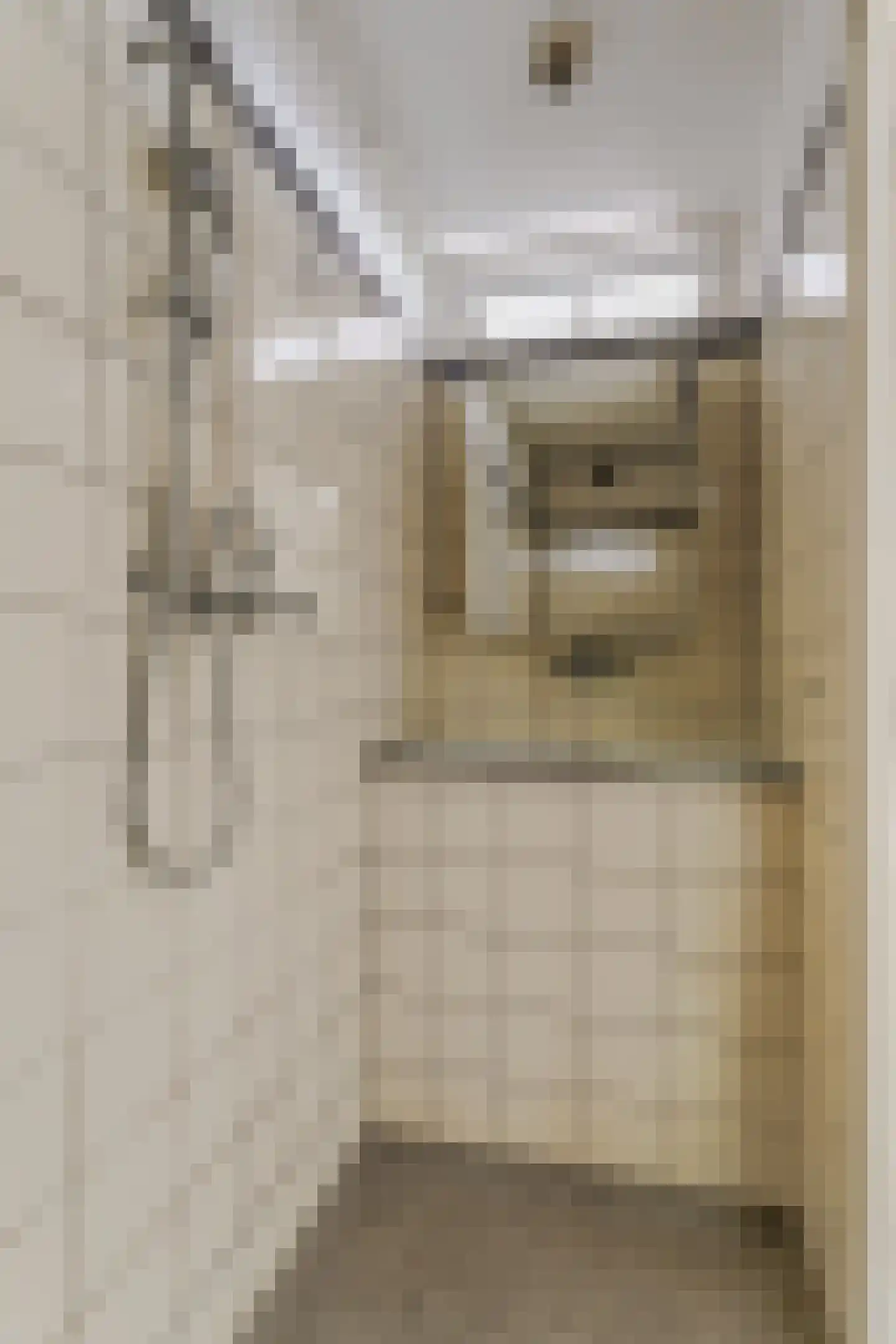 Het Kleine Loo 132 Den Haag thumbnail 16