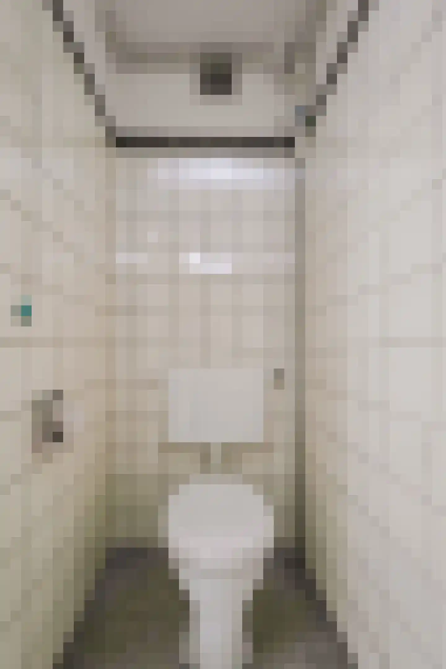 Het Kleine Loo 132 Den Haag thumbnail 17