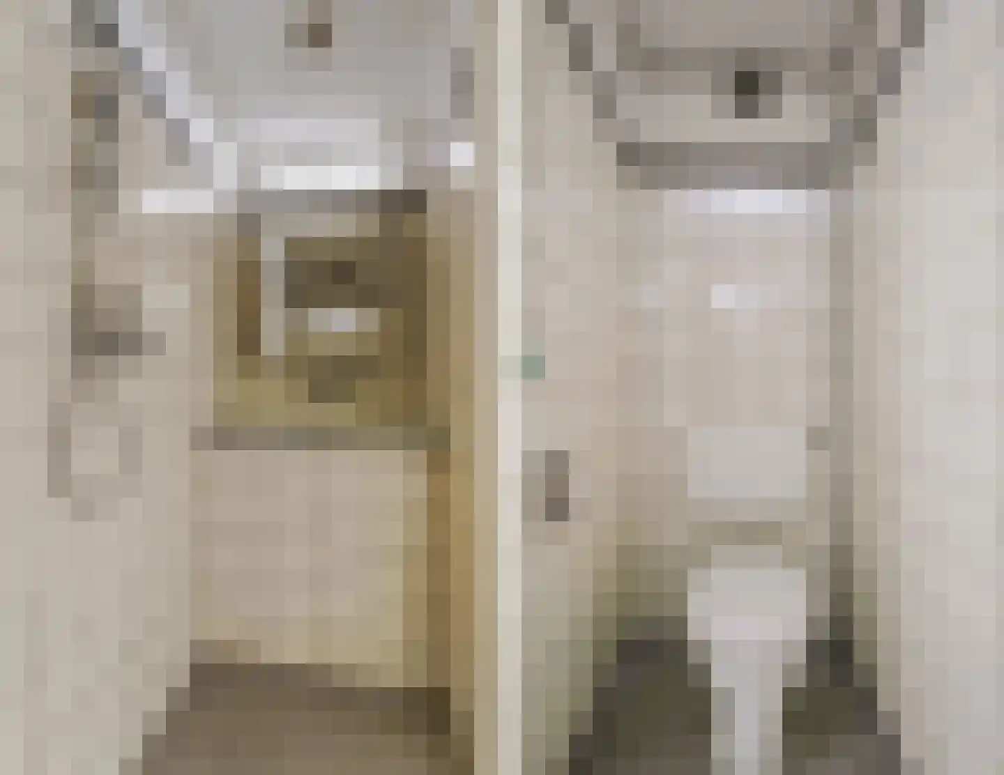 Het Kleine Loo 132 Den Haag thumbnail 18