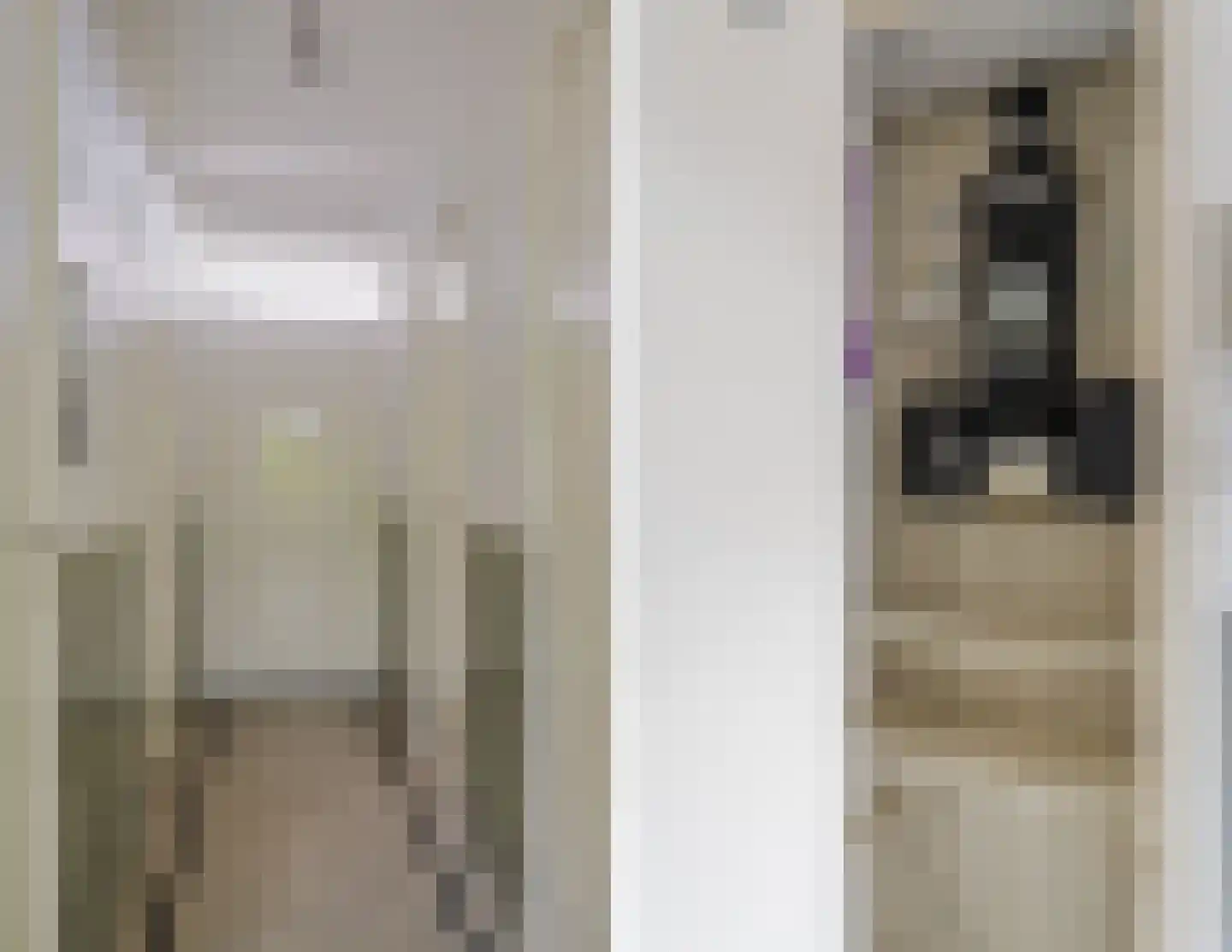 Het Kleine Loo 132 Den Haag thumbnail 19