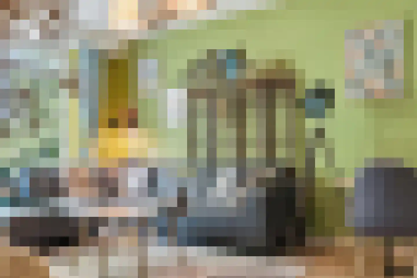 Het Kleine Loo 144 Den Haag thumbnail 5