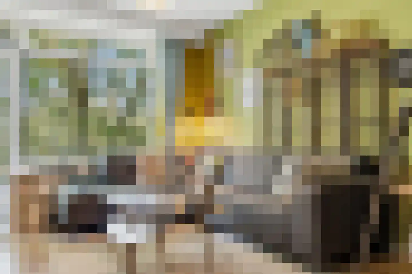 Het Kleine Loo 144 Den Haag thumbnail 8