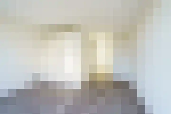 Het Kleine Loo 170 Den Haag thumbnail 6