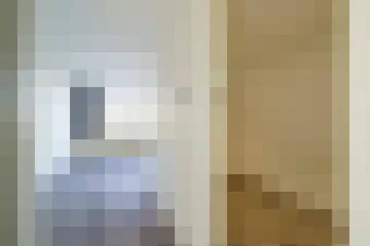 Het Kleine Loo 170 Den Haag thumbnail 8