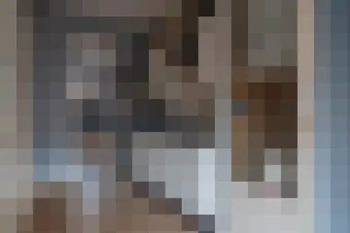 Het Kleine Plein 3 Weesp thumbnail 17