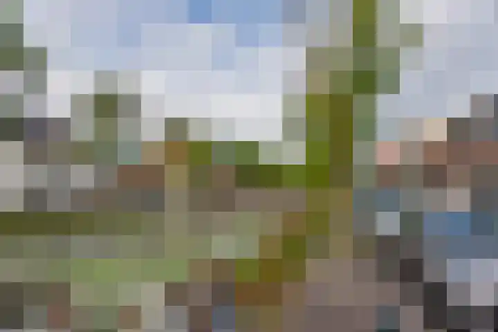 Het Kleine Plein 3 Weesp thumbnail 22