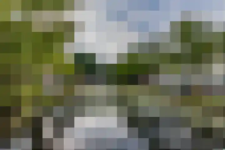 Het Kleine Plein 3 Weesp thumbnail 24