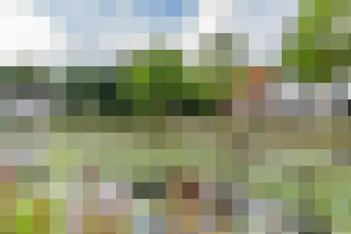 Het Kleine Plein 3 Weesp thumbnail 25