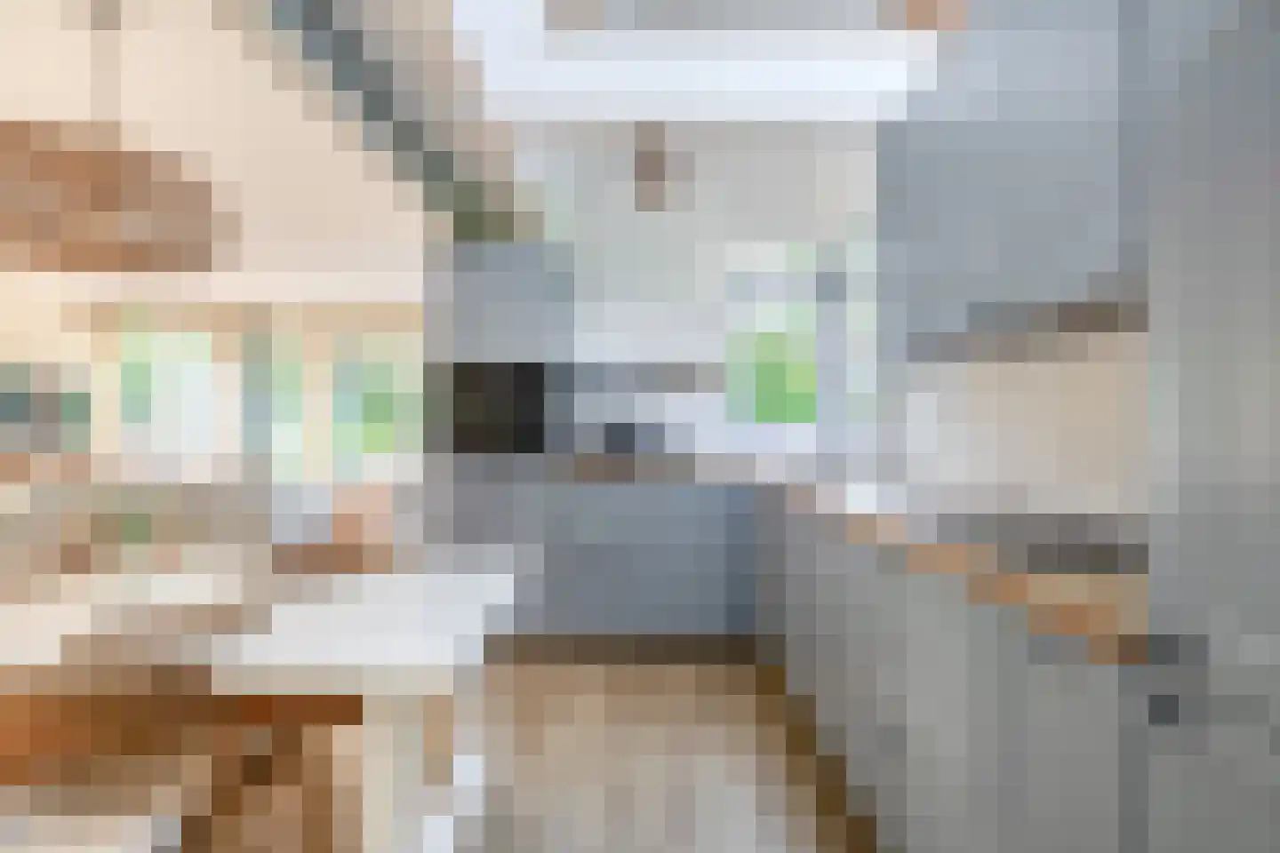 Het Kleine Verschil 13 Ouddorp thumbnail 14