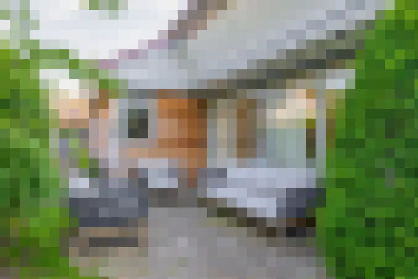 Het Kleine Verschil 13 Ouddorp thumbnail 27