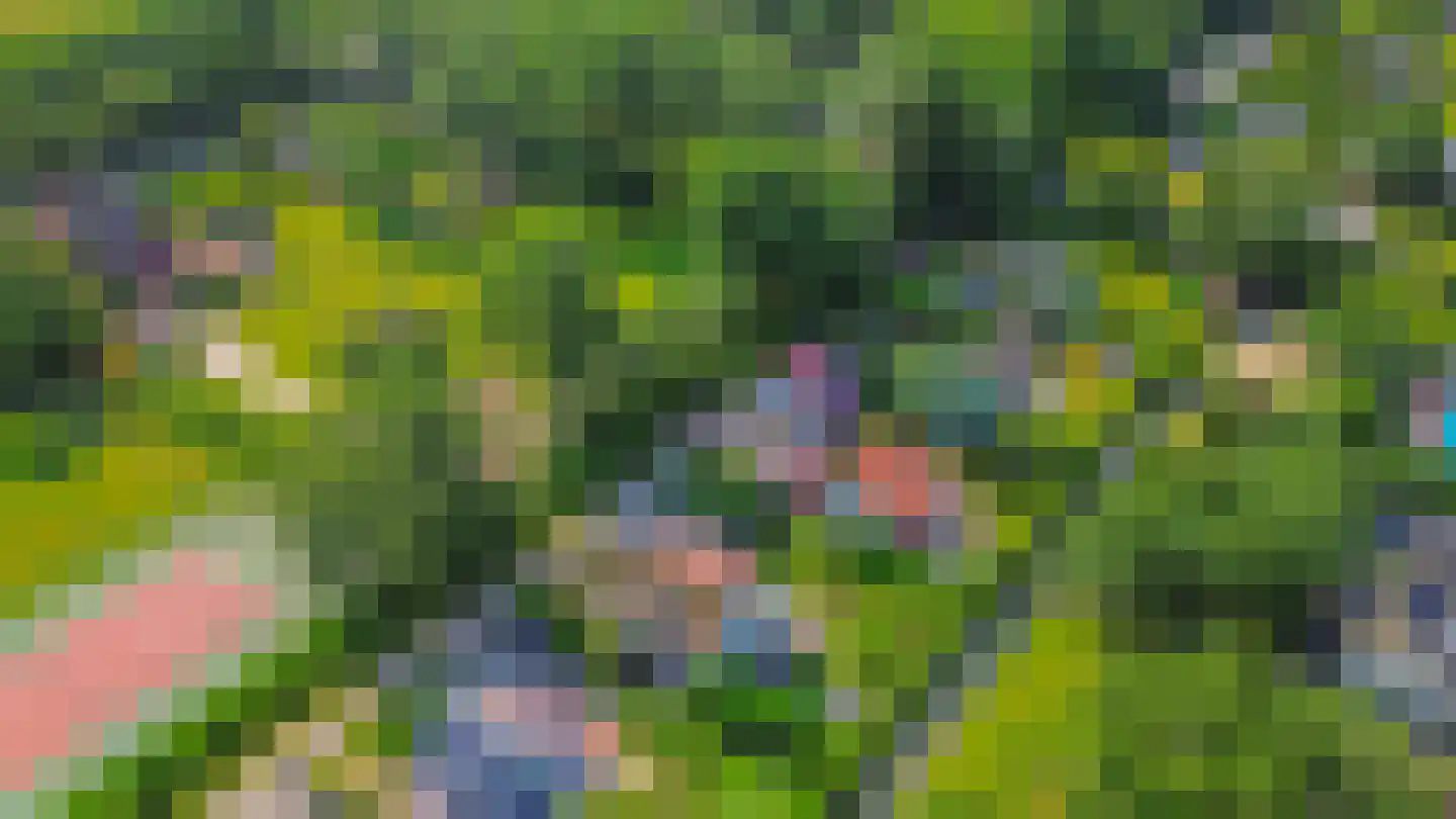 Het Kleine Verschil 13 Ouddorp thumbnail 34