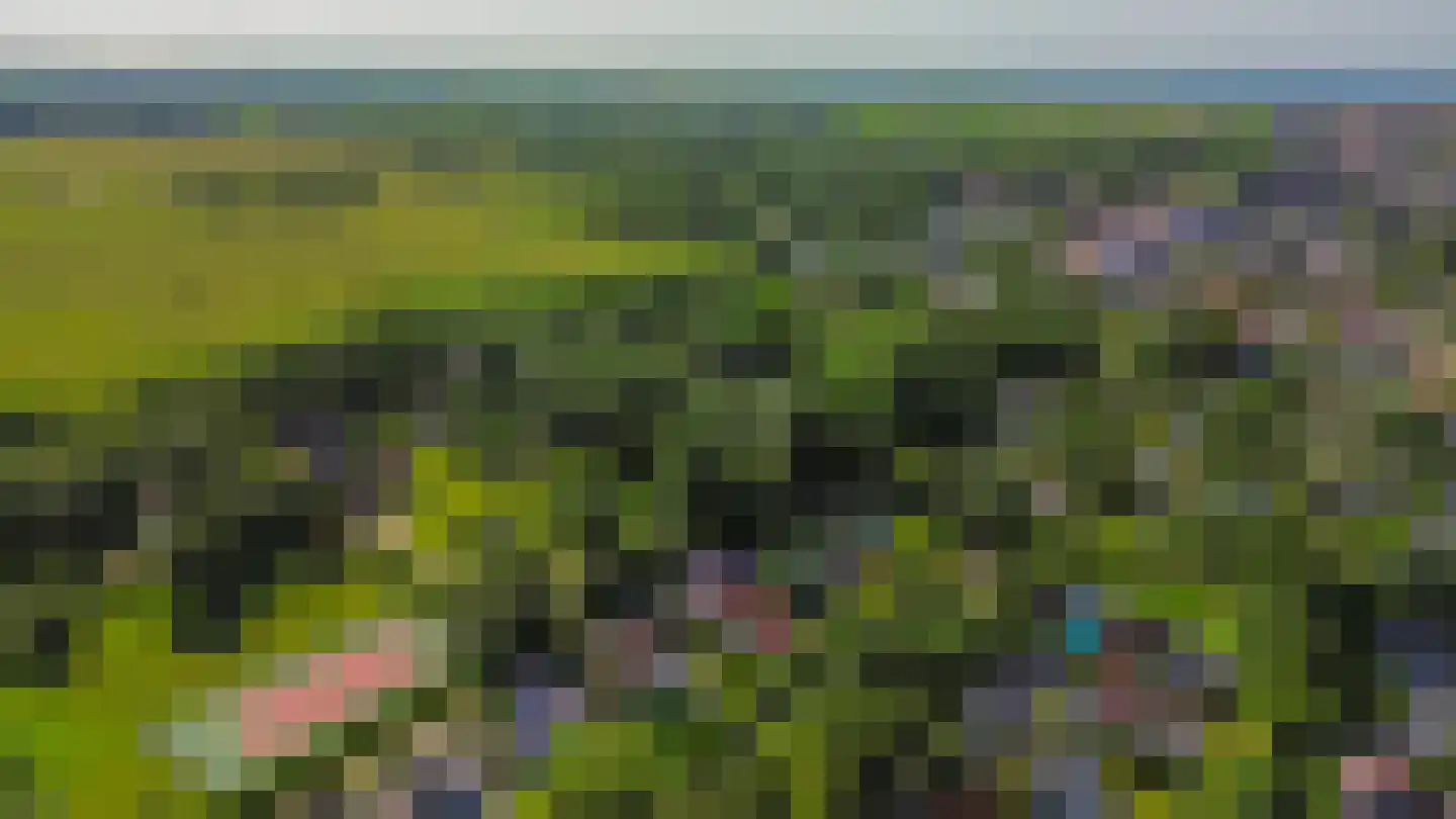 Het Kleine Verschil 13 Ouddorp thumbnail 35
