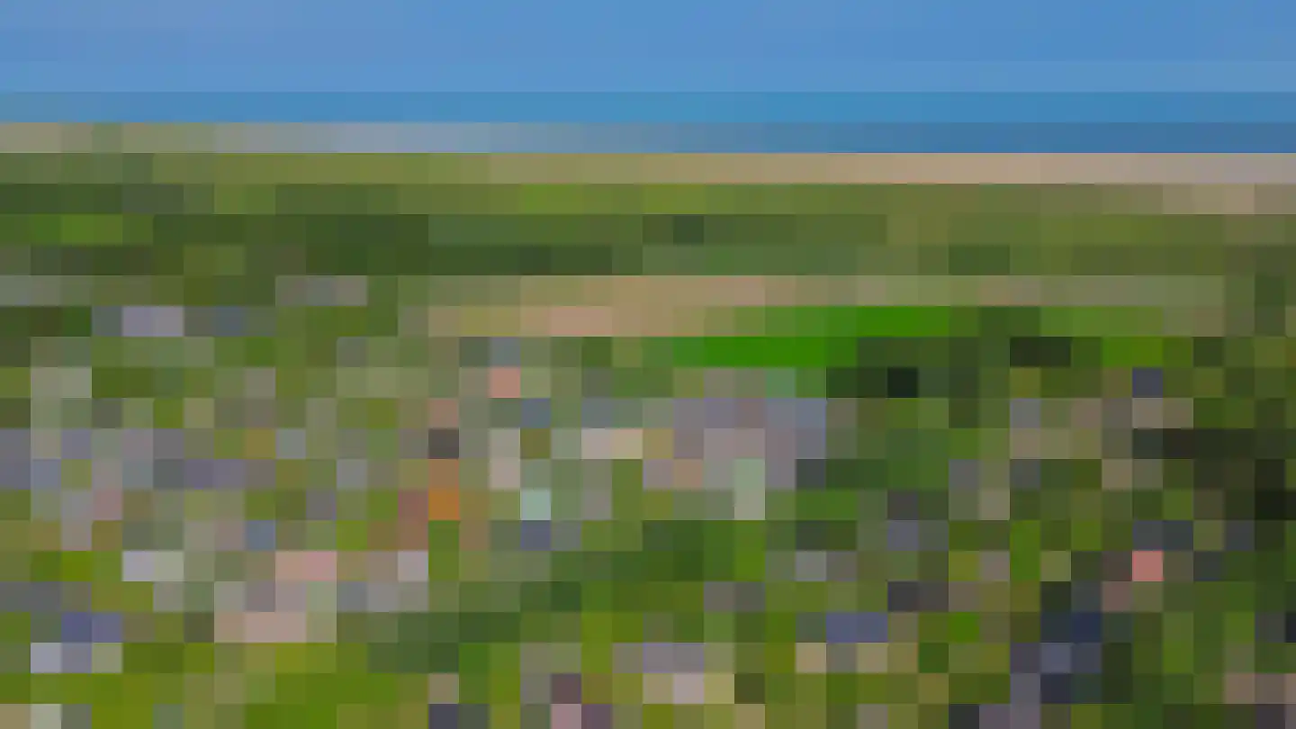 Het Kleine Verschil 13 Ouddorp thumbnail 36