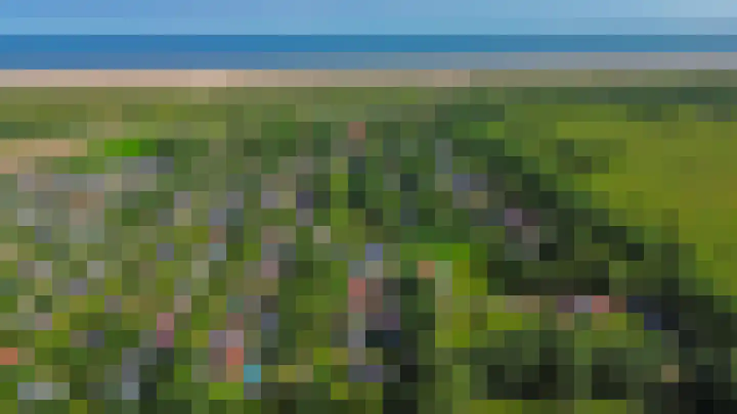 Het Kleine Verschil 13 Ouddorp thumbnail 37