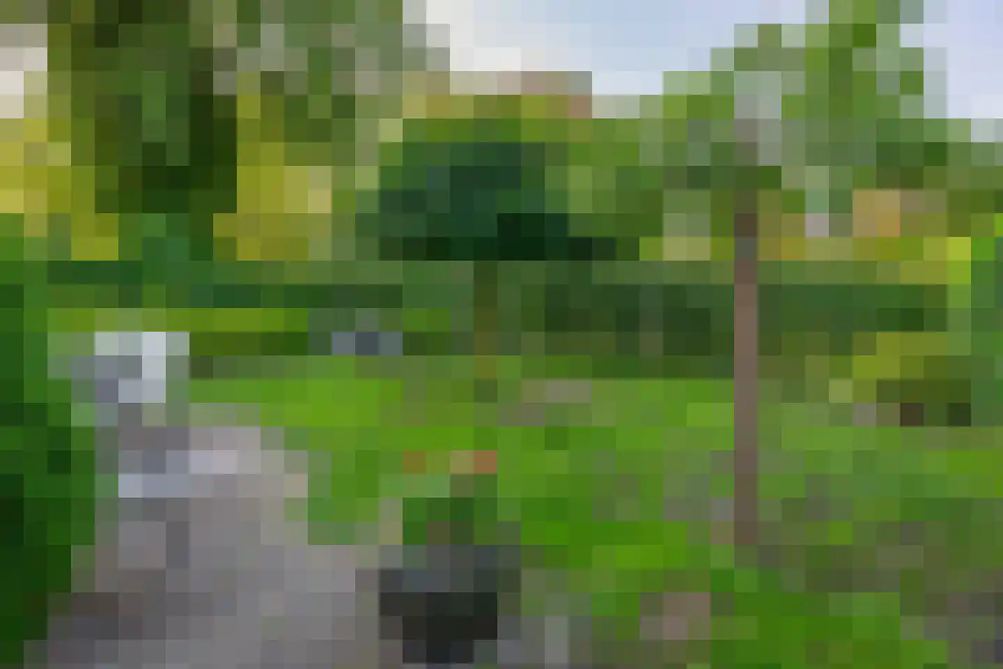 Het Kleine Verschil 13 Ouddorp thumbnail 4