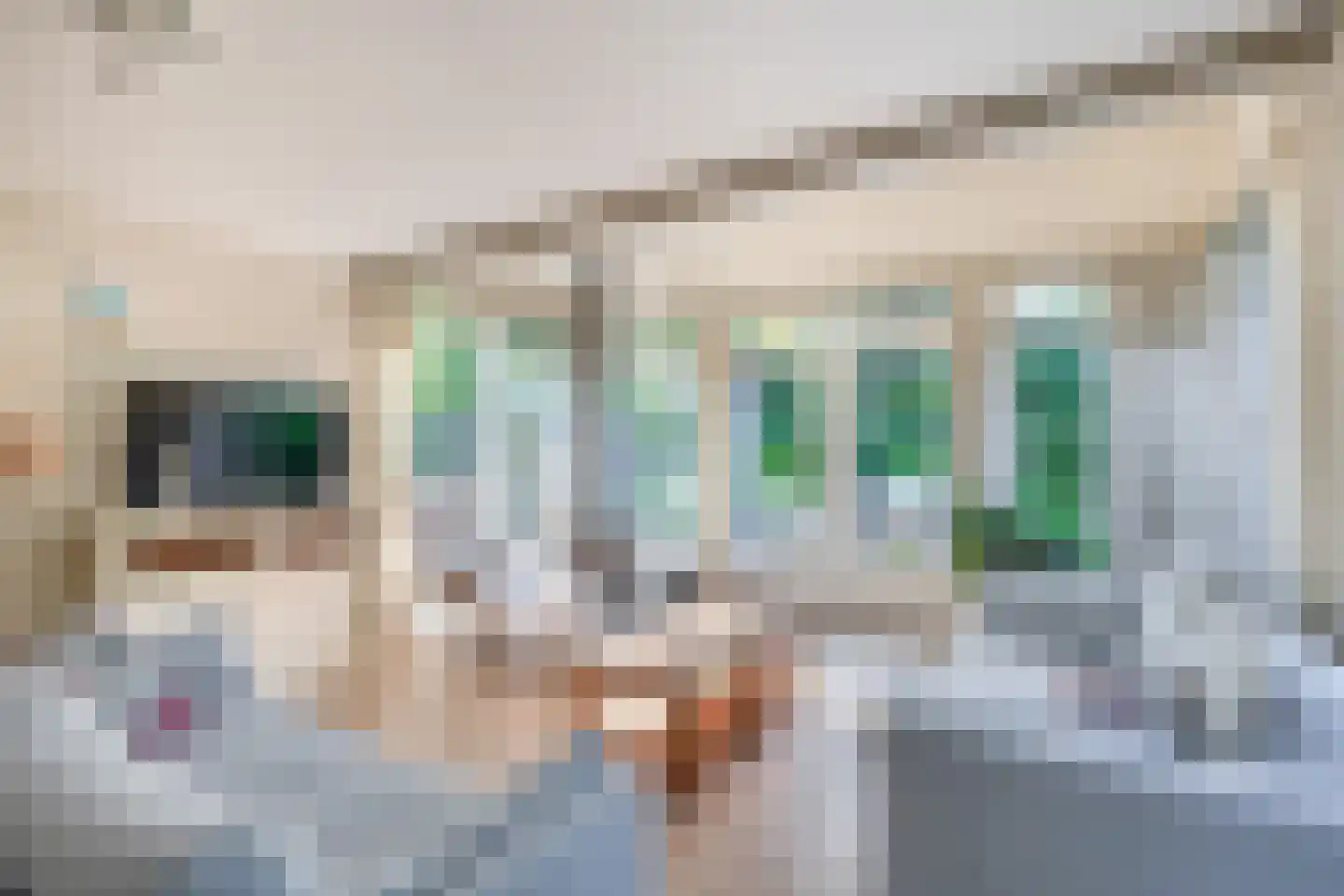 Het Kleine Verschil 13 Ouddorp thumbnail 8