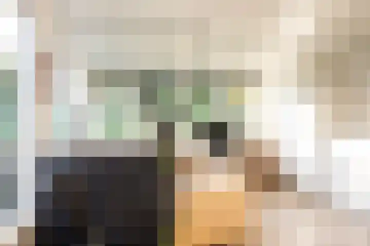 Het Kleine Verschil 16 Ouddorp thumbnail 17