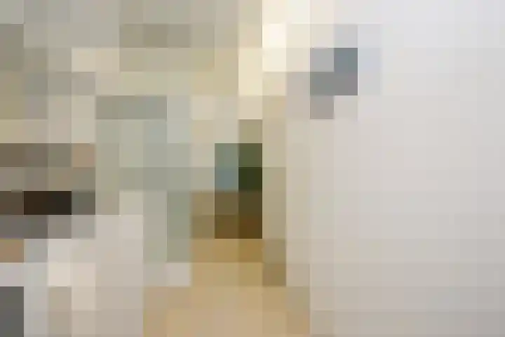 Het Kleine Verschil 16 Ouddorp thumbnail 18
