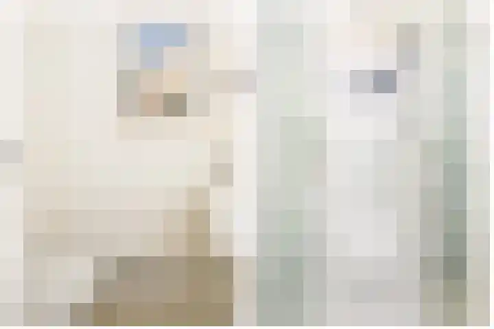 Het Kleine Verschil 16 Ouddorp thumbnail 19