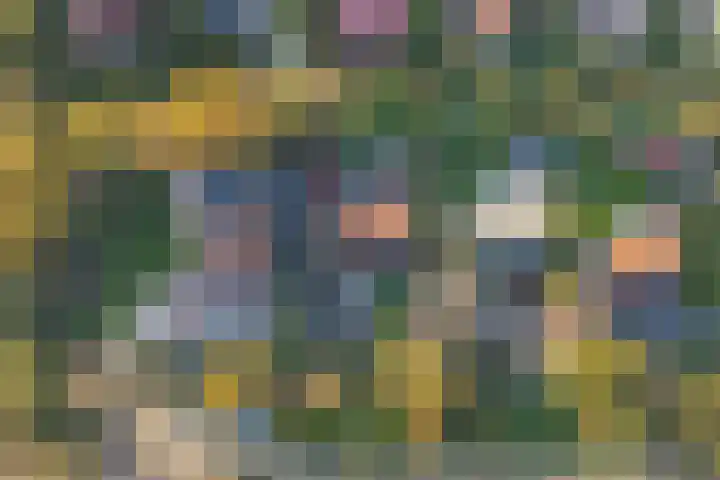 Het Kleine Verschil 16 Ouddorp thumbnail 31