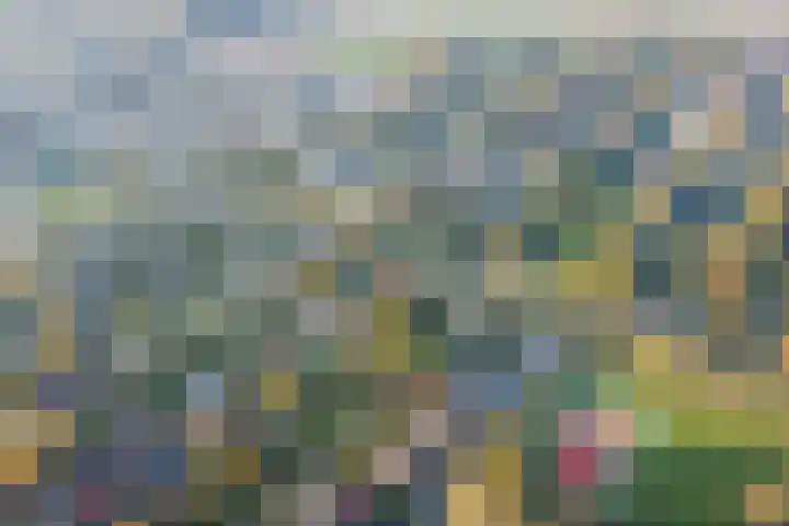 Het Kleine Verschil 16 Ouddorp thumbnail 32