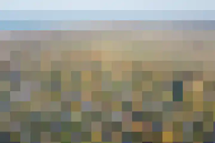 Het Kleine Verschil 16 Ouddorp thumbnail 4