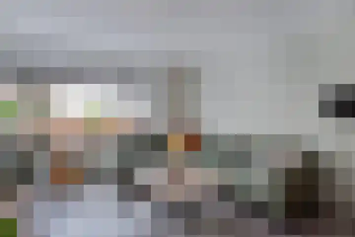 Het Klif 22 Kraggenburg thumbnail 18