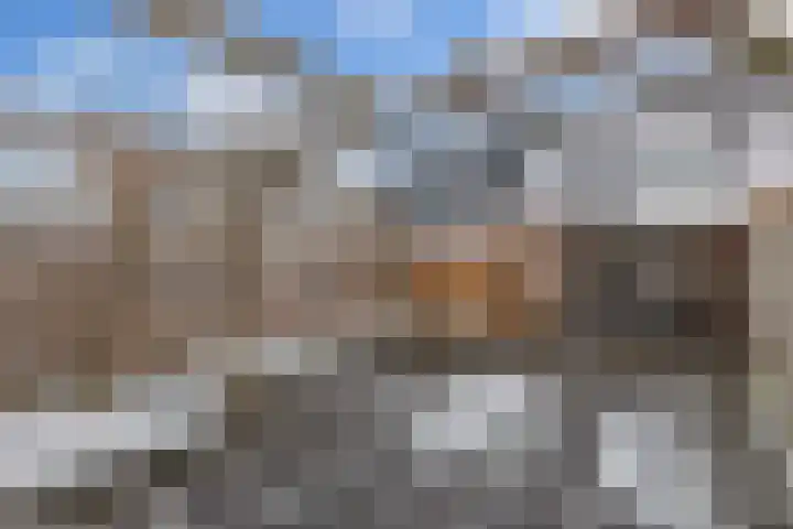 Het Klif 22 Kraggenburg foto 2